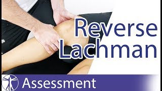 Reverse Lachman Test  Posterior Cruciate Ligament Tear [upl. by Ramuk]