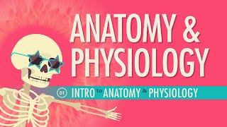 Introduction to Anatomy amp Physiology Crash Course Anatomy amp Physiology 1 [upl. by Terrag]