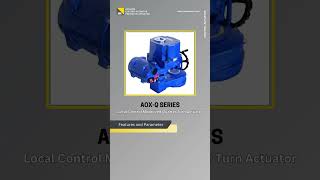 AOX Quarter Turn Electric Actuator Precision Control for Various Industries [upl. by Delfeena]