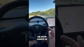 Experience Teslas FREE Autopilot Here’s What Happens 🚗✨ [upl. by Anissej]