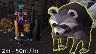 RuneScapes Racoons  Inside HighLevel Looting [upl. by Mag]