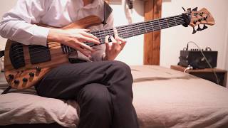 Howls Moving Castle  MerryGo Round of Life （人生のメリーゴーランド）solo bass Adamovic saturn [upl. by Demahom]