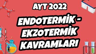 Endotermik  Ekzotermik Kavramları  AYT Kimya 2022 hedefekoş [upl. by Gnoh]