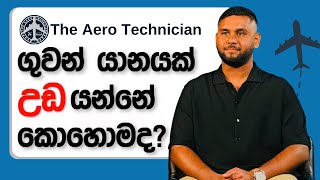 How Do Airplanes Fly ගුවන් යානා ඉංජිනේරුවෙක් පැහැදිලි කරයි [upl. by Vevay]