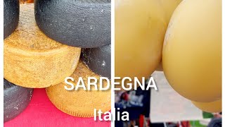 Italy Travel SARDINIAN SHEEP CHEESE DELICIOUS CHEESE travel italy cheese 2024 [upl. by Aidnyl239]