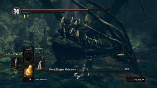 Dark Souls Remastered  Black Dragon Kalameet Boss Fight [upl. by Marlin829]