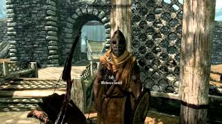 Skyrim  Guards Hidden CSI Dialogue [upl. by Eart]