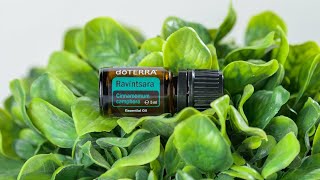 doTERRA Ravintsara 5ml  Translated Subtitles [upl. by Maximilien]