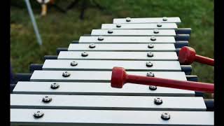 Percussion Instruments The Xylophone Relaxing Music [upl. by Rego901]