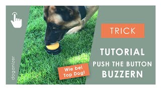 Push The Buzzer Get The Treat  Training My Dog [upl. by Retsila416]