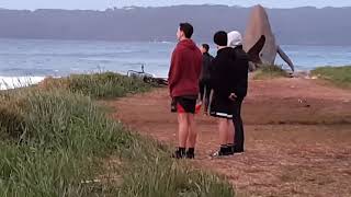 Kurnell Point seals at play 18th July 2020 [upl. by Ravid]