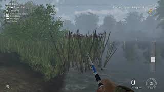 Fishing Planet  Shore Weeds  complete [upl. by Limak]