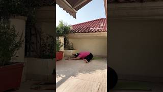 reproductivehealth digestion metabolism hamstrings spine hipopener yoga shortvideo pelvis [upl. by Hoeg]