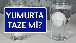 Yumurta Taze mi Bayat mı Nasıl Anlaşılır [upl. by Etak648]