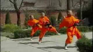 Shaolin Monks Training [upl. by Oraneg]