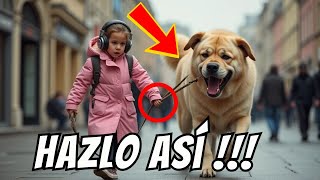 🐾 7 CONSEJOS para pasear a tu PERRO de forma SEGURA 🐩 [upl. by Akeihsal]