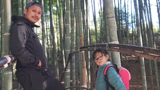 MOSO BAMBOO WALK  YACHULI  ARUNACHAL PRADESH [upl. by Putnem]