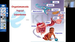 DUS Biyokimya  Biyokimyaya Giriş Organizma Atom Molekül Hücre  nettekurscom [upl. by Idnod]