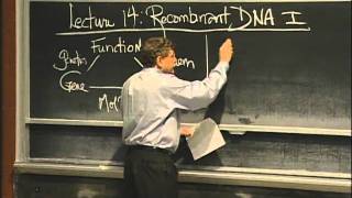 Overview of Recombinant DNA excerpt 1  MIT 701SC Fundamentals of Biology [upl. by Evetta553]