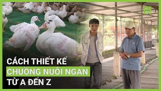 Xây dựng chuồng nuôi ngan Tiết kiệm hiệu quả  VTC16 [upl. by Ray761]