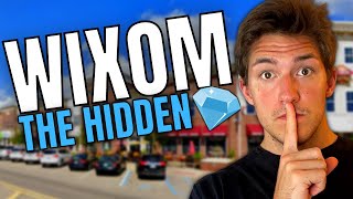 Wixom Michigan  THE Hidden Gem Of Metro Detroit [upl. by Morvin]