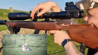 Rabbit Shooting with Anschutz 1417 22LR amp PARD NV007V Scope Cam [upl. by Arley]