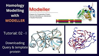 Homology Modelling  Tutorial 2 of 5  Part 1  Modeller [upl. by Zeuqcaj380]