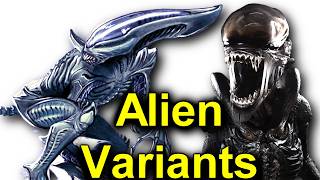 Tales of the Aliens  Alien Explained Compilation [upl. by Mcfadden70]