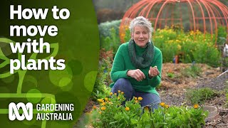 Tips for transplanting your plants when moving house  DIY Garden Projects  Gardening Australia [upl. by Cissie]