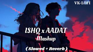 Ishq x Aadat mashup  Slowed  Reverb  VKLOFI [upl. by Phene672]