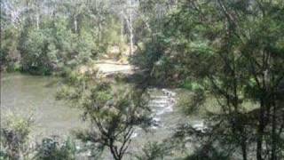 Blue Tongue Bend  Warrandyte State Park [upl. by Aikehs]