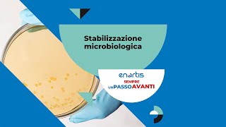 Stabilizzazione Microbiologica [upl. by Cuthbertson]