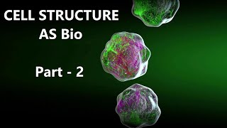 Cell Structure  AS Biology Paper 2 Revision  Cambridge AS Level  Part 3 [upl. by Yboj]