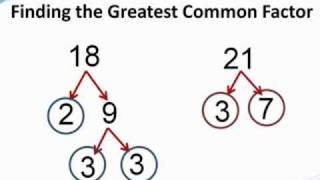 How to find the greatest common factor  from TutaPointcom [upl. by Jaella]