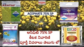 Acephate 75  SP insecticide అస్ఫేట్ 75 ఎస్పి detail in Telugu [upl. by Lamrert187]