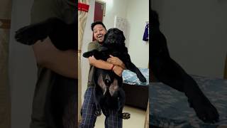 My Dog Hates Bath trending lucky doglover [upl. by Samaria503]