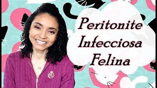 PIF PERITONITE INFECCIOSA FELINA [upl. by Nytsirc675]