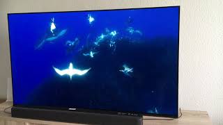 Sony oled AG9 Netflix test of Dolby Vision and Dolby atmos [upl. by Beaufert363]