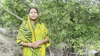 Importance of conserving Sundarbans the largest mangrove in the world [upl. by Friedrick]