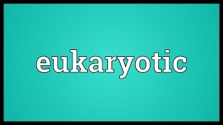 Eukaryotic Meaning [upl. by Margarete]