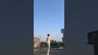 Desi kite ke kite fighting in other kite  kiteflying viralvideo [upl. by At380]