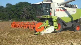 moisson de raygrass 2012 avec claas lexion 540 [upl. by Pearce870]