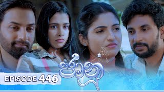 Jaanu  Episode 446  20241108  ITN [upl. by Barabbas]