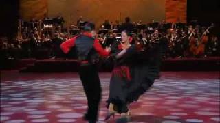 Christoph Kies und Blanca Ribas Turon  Dancing Espana Cani Paso Doble 2009 [upl. by Vaios958]