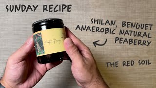 Sunday Recipe Shilan Benguet Anaerobic Natural Peaberry from The Red Soil [upl. by Cilegna227]