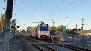 Transwa Australind ADP102103 passes Seaforth [upl. by Ailecec]