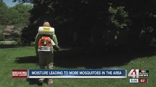 Moisture leading to more mosquitoes in the area [upl. by Nednil629]