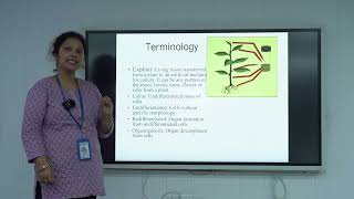 Plant tissue culture [upl. by Torie]