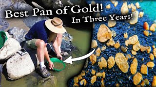 Best Single Gold pan in Three Years WOW [upl. by Ladin]