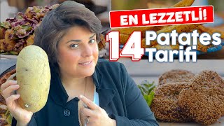 Asla Kaçırılmaması Gereken 14 Patates Tarifi 🥔🍟 Patates Salatası Köftesi Kızartması ve Dahası [upl. by Ennoira301]